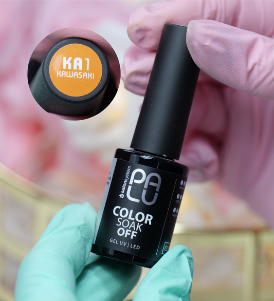 Lakier hybrydowy Kawasaki KA1