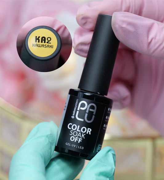 Lakier hybrydowy Kawasaki KA2